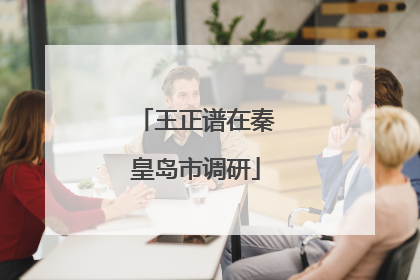 王正谱在秦皇岛市调研