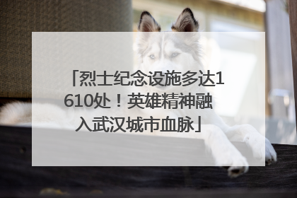 烈士纪念设施多达1610处！英雄精神融入武汉城市血脉