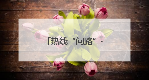 热线“问路”·管管狂飙“小电驴”｜一辆“小电驴”驮了五个娃