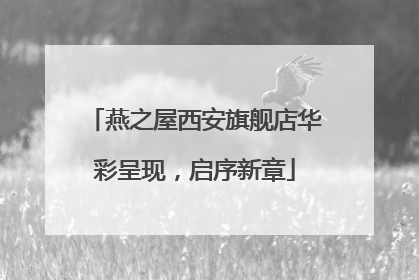 燕之屋西安旗舰店华彩呈现，启序新章