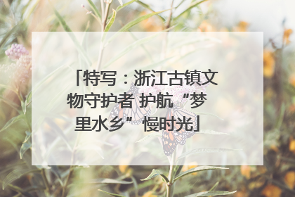 特写：浙江古镇文物守护者 护航“梦里水乡”慢时光