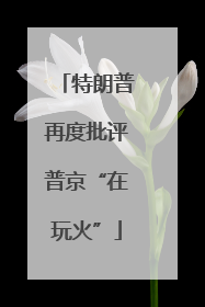特朗普再度批评普京“在玩火”