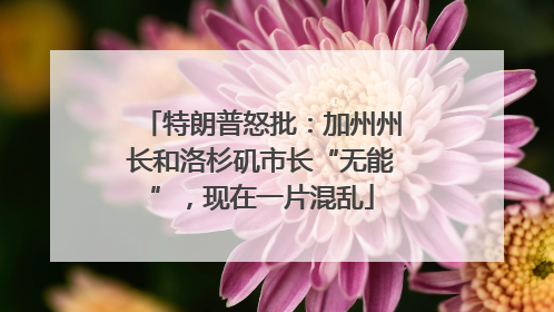特朗普怒批：加州州长和洛杉矶市长“无能”，现在一片混乱