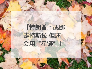特朗普：或挪走特斯拉 但还会用“星链”