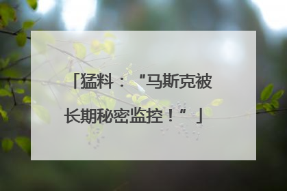 猛料：“马斯克被长期秘密监控！”