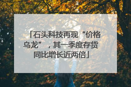 石头科技再现“价格乌龙”，其一季度存货同比增长近两倍