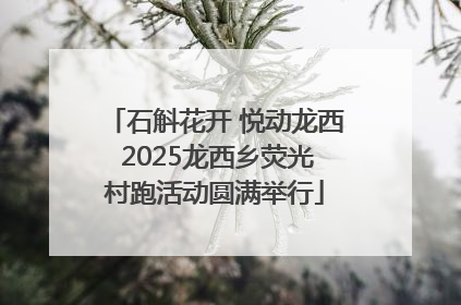 石斛花开 悦动龙西 2025龙西乡荧光村跑活动圆满举行