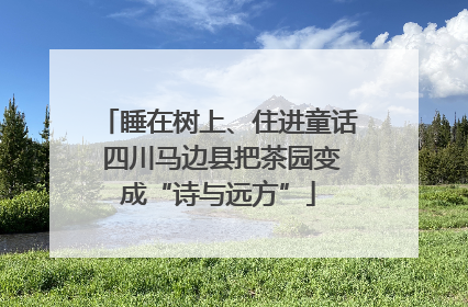 睡在树上、住进童话 四川马边县把茶园变成“诗与远方”