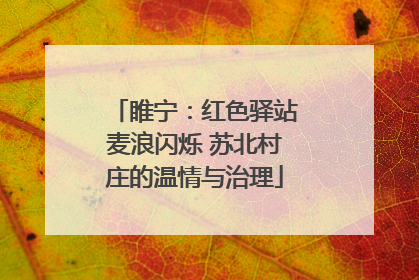 睢宁：红色驿站麦浪闪烁 苏北村庄的温情与治理