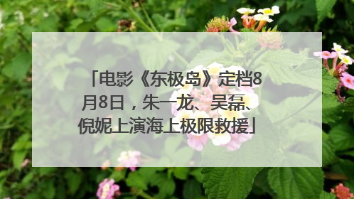 电影《东极岛》定档8月8日，朱一龙、吴磊、倪妮上演海上极限救援
