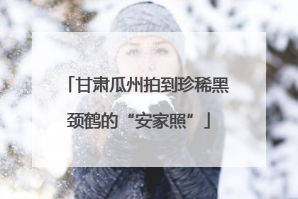 甘肃瓜州拍到珍稀黑颈鹤的“安家照”