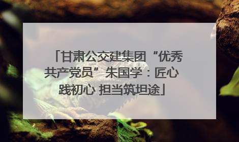 甘肃公交建集团“优秀共产党员”朱国学：匠心践初心 担当筑坦途