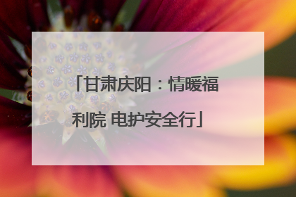 甘肃庆阳：情暖福利院 电护安全行