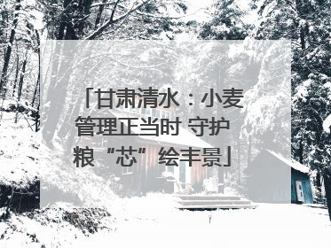 甘肃清水：小麦管理正当时 守护粮“芯”绘丰景