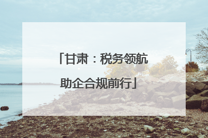 甘肃：税务领航 助企合规前行