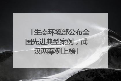 生态环境部公布全国先进典型案例，武汉两案例上榜