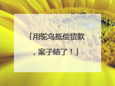 用鸵鸟抵偿货款，案子结了！
