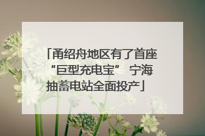 甬绍舟地区有了首座“巨型充电宝” 宁海抽蓄电站全面投产