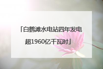 白鹤滩水电站四年发电超1960亿千瓦时