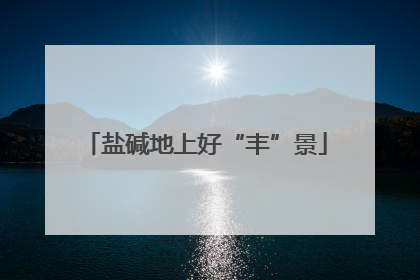 盐碱地上好“丰”景
