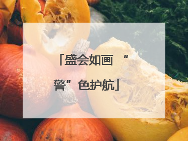 盛会如画 “警”色护航