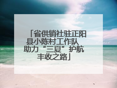 省供销社驻正阳县小陈村工作队 助力“三夏”护航丰收之路