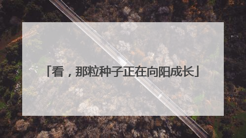 看，那粒种子正在向阳成长