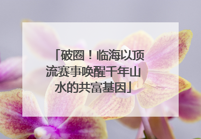 破圈！临海以顶流赛事唤醒千年山水的共富基因