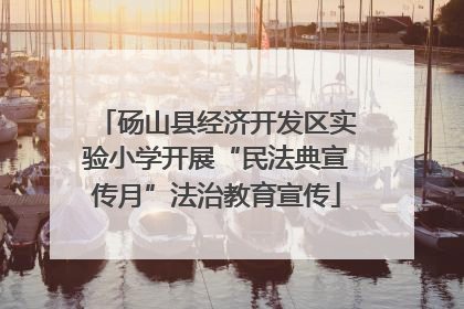 砀山县经济开发区实验小学开展“民法典宣传月”法治教育宣传