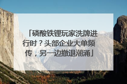 磷酸铁锂玩家洗牌进行时？头部企业大单频传，另一边撤退潮涌