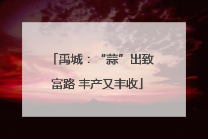 禹城：“蒜”出致富路 丰产又丰收