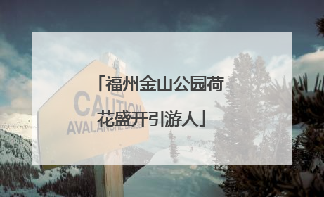 福州金山公园荷花盛开引游人