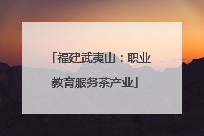 福建武夷山：职业教育服务茶产业