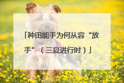 种田能手为何从容“放手”（三夏进行时）