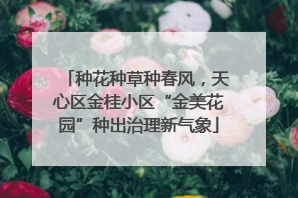 种花种草种春风，天心区金桂小区“金美花园”种出治理新气象