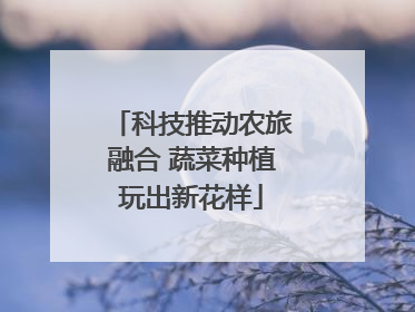 科技推动农旅融合 蔬菜种植玩出新花样
