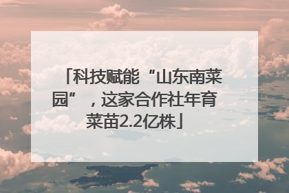 科技赋能“山东南菜园”，这家合作社年育菜苗2.2亿株