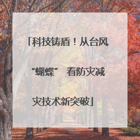科技铸盾！从台风“蝴蝶” 看防灾减灾技术新突破