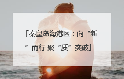 秦皇岛海港区：向“新”而行 聚“质”突破
