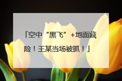空中“黑飞”+地面藏险！王某当场被抓！