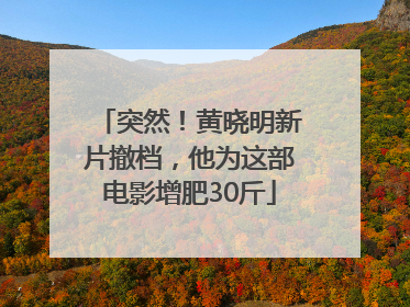 突然！黄晓明新片撤档，他为这部电影增肥30斤