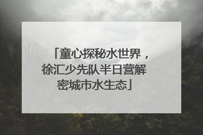 童心探秘水世界，徐汇少先队半日营解密城市水生态