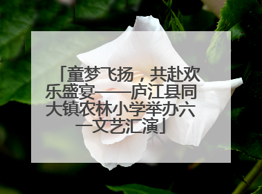 童梦飞扬，共赴欢乐盛宴——庐江县同大镇农林小学举办六一文艺汇演