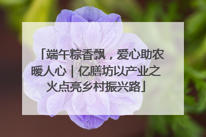 端午粽香飘，爱心助农暖人心｜亿膳坊以产业之火点亮乡村振兴路