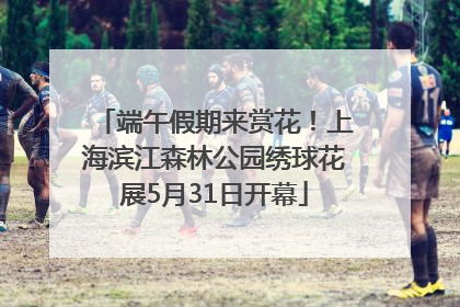 端午假期来赏花！上海滨江森林公园绣球花展5月31日开幕