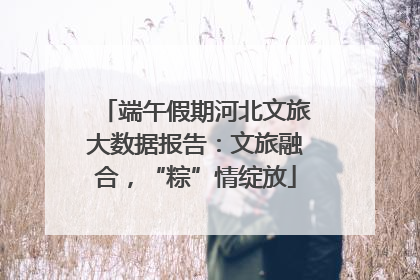 端午假期河北文旅大数据报告：文旅融合，“粽”情绽放