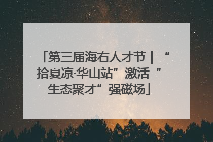 第三届海右人才节｜“拾夏凉·华山站”激活“生态聚才”强磁场