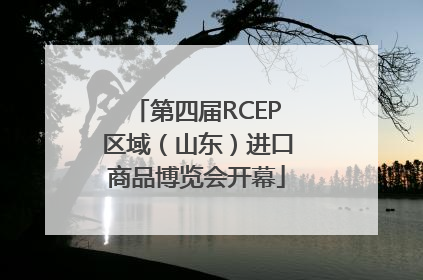第四届RCEP区域（山东）进口商品博览会开幕