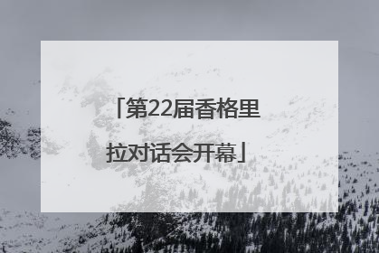 第22届香格里拉对话会开幕
