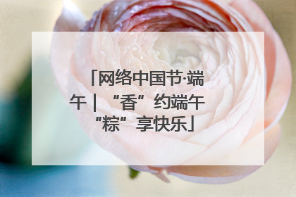 网络中国节·端午｜“香”约端午 “粽”享快乐